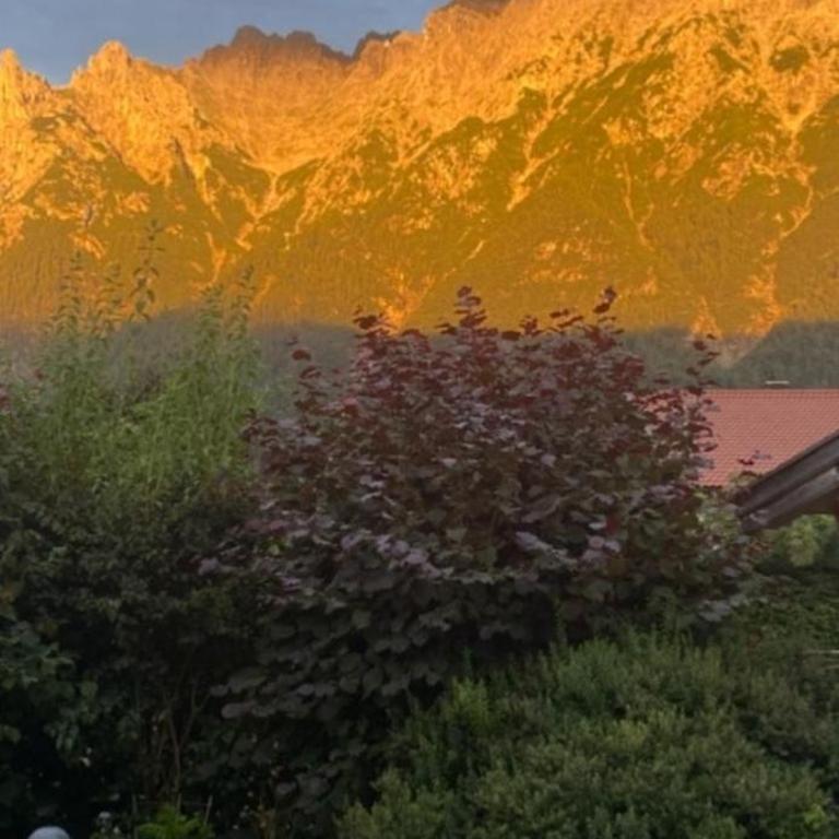 Karwendel Lodge - Apartment - 24