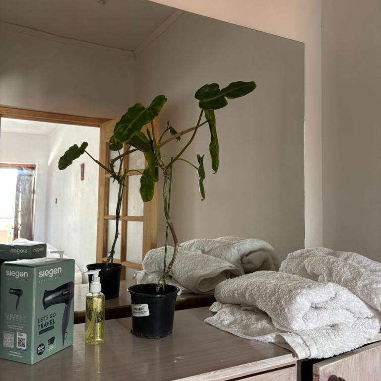Casona san isidro - Double Room with Private Bathroom - 2