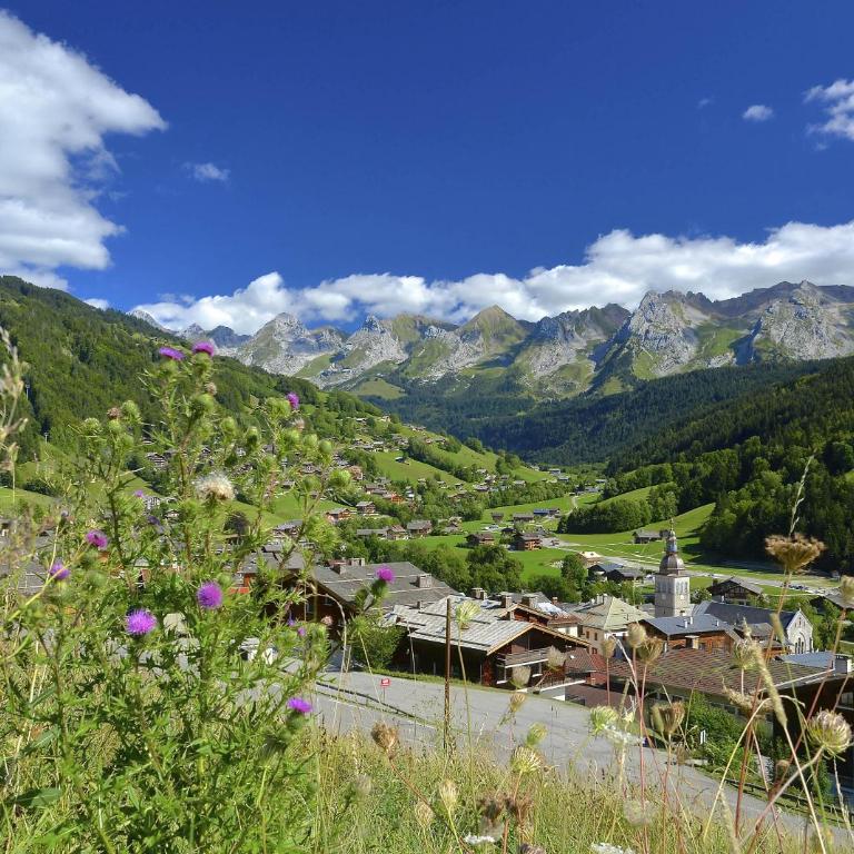 Chalet Socali Le Grand Bornand - Two-Bedroom Chalet - 22