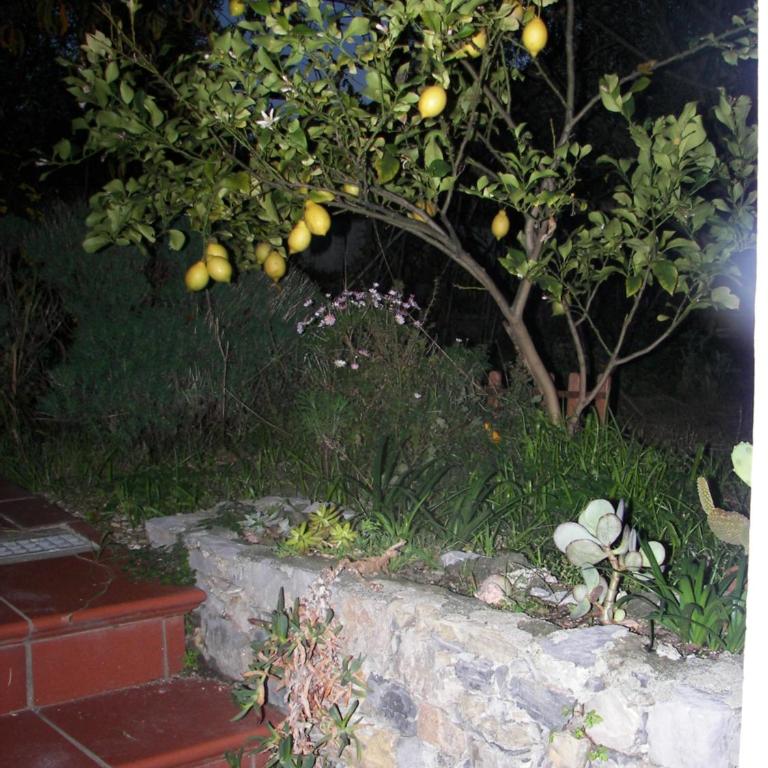 Ca'di Gilbi e Pasqui - Casa Vacanze - 63