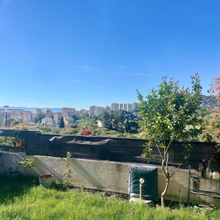 Appartement les Milelli - One-Bedroom Apartment - 4