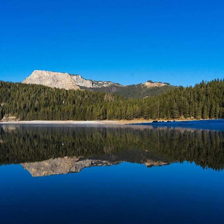 Rooms Apartment Durmitor - Twin Room - 25