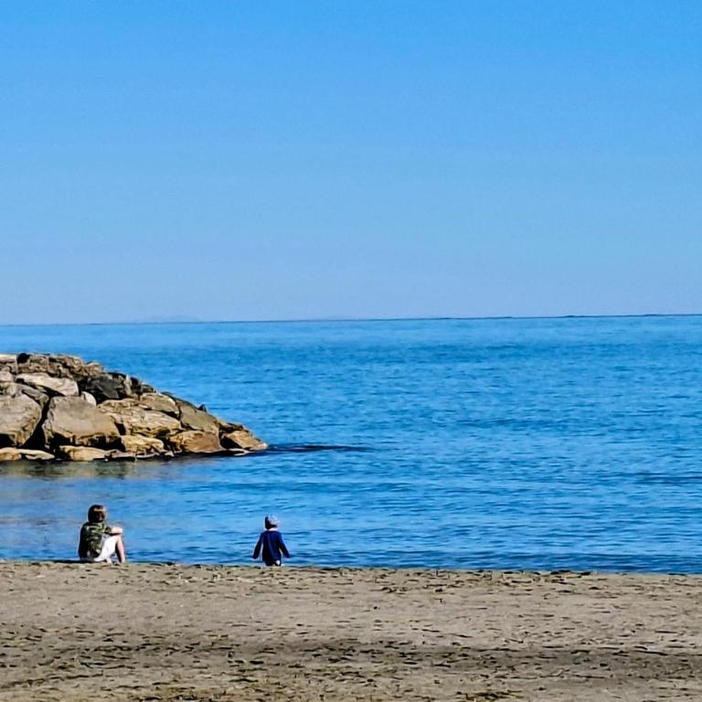 Grand appartement avec terrasse Plage à 6 min à pied Climatisation Saintes maries de la mer - Appartamento con 1 Camera da Letto - 72