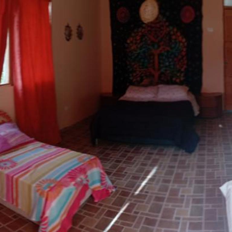 La Rana Azul - Hospedaje rural - Chalet - 1