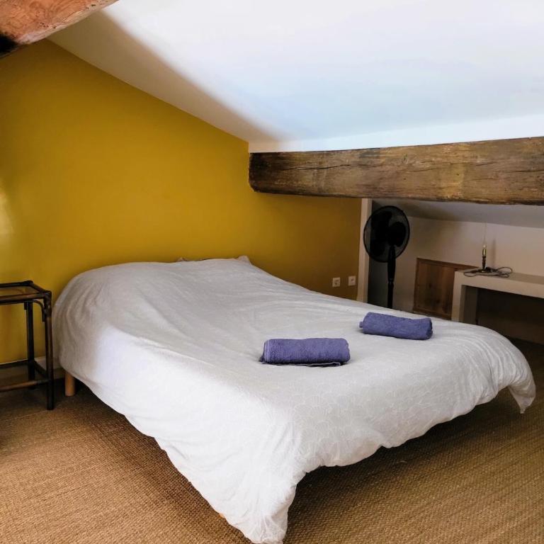 Charmant T2 vue Saint Clair et canal - Apartment mit 2 Schlafzimmern - 16