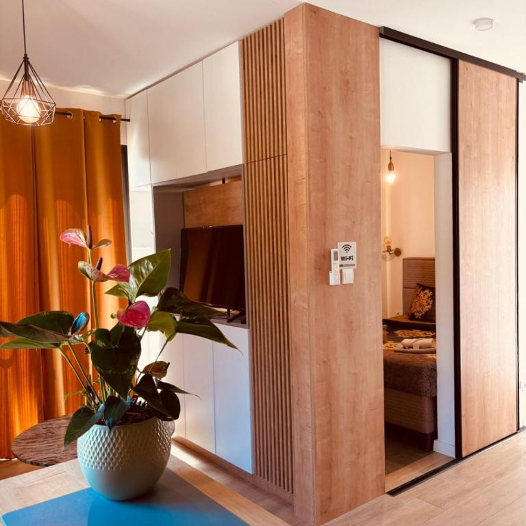 Adriatic Dream - Family Room with Garden View - 5