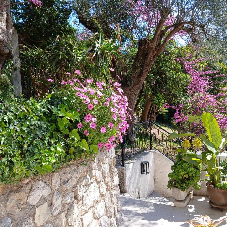 Villa Daja Menton - Apartment mit 1 Schlafzimmer - 3