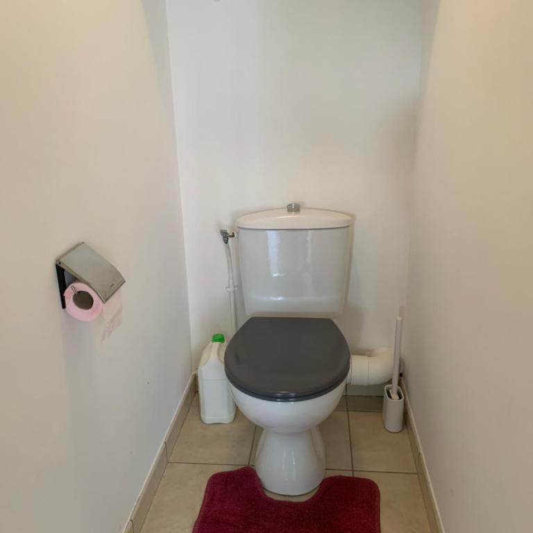 Jardin Lyon PartDieu 50m2 parking Gratuit possible - Apartment mit 1 Schlafzimmer - 18