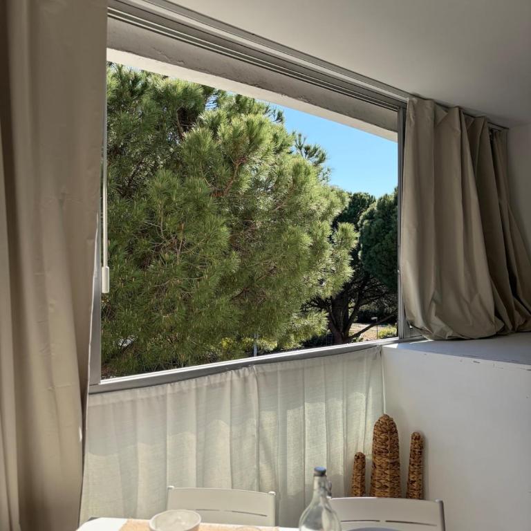 Soleil couchant - Studio lumineux - Piscine & Clim - Appartement 1 Chambre - 5