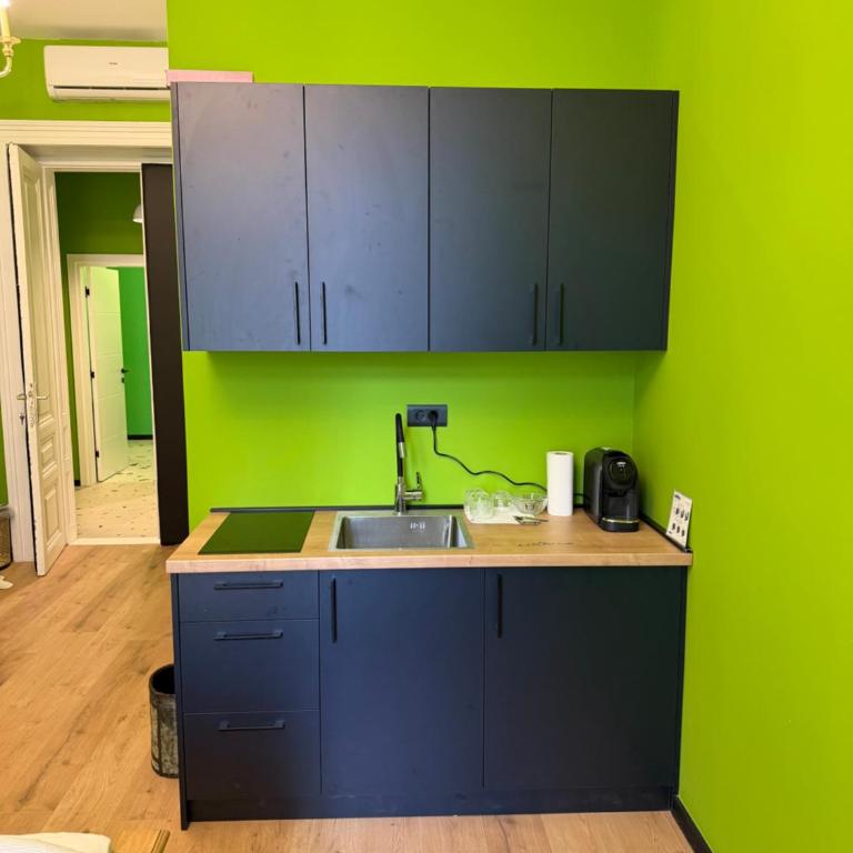 Antique Apartments Ferhadija Tanjin konak - Deluxe King Studio - 9