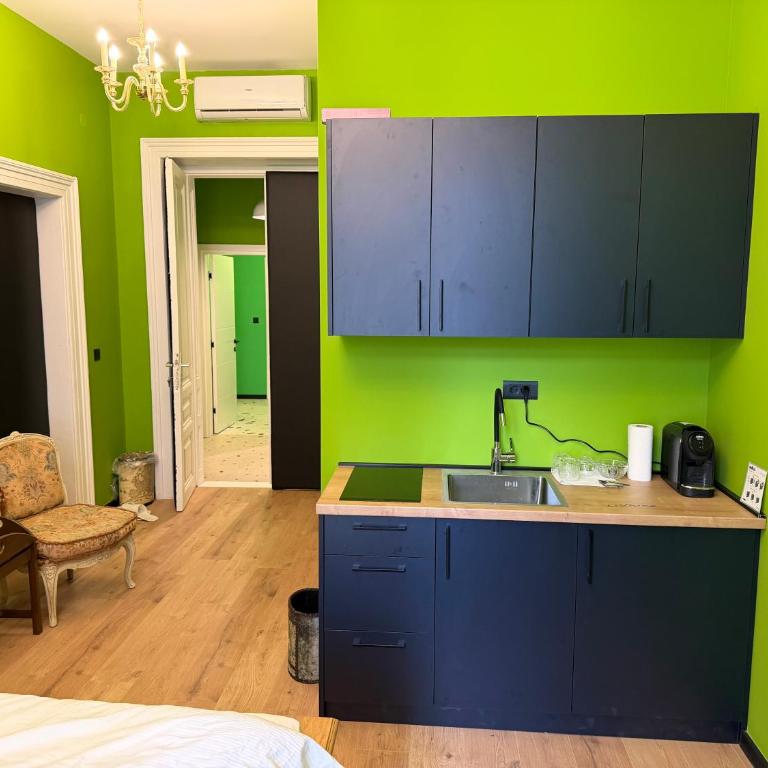 Antique Apartments Ferhadija Tanjin konak - Deluxe King Studio - 7