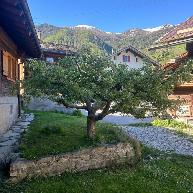 Cosy chalet near Verbier - Chalet mit 3 Schlafzimmern - 6
