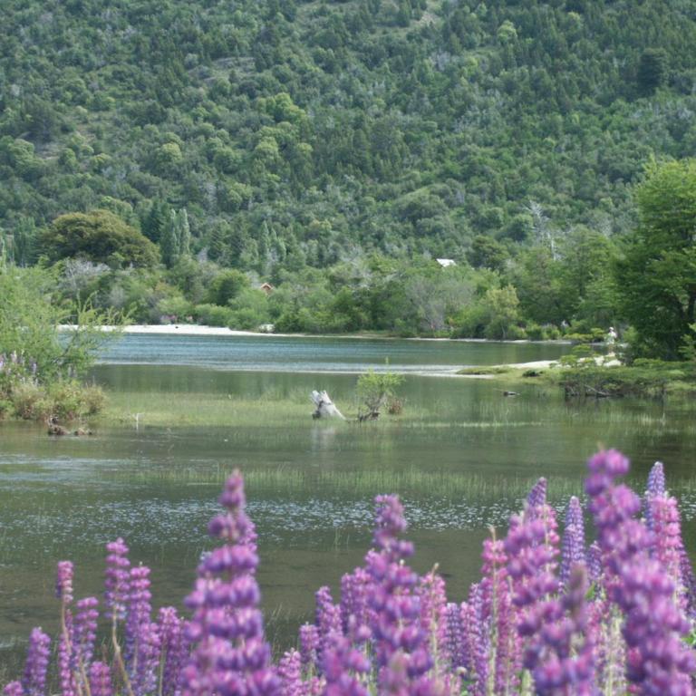 Casa Lago Meliquina - Three-Bedroom Chalet - 44