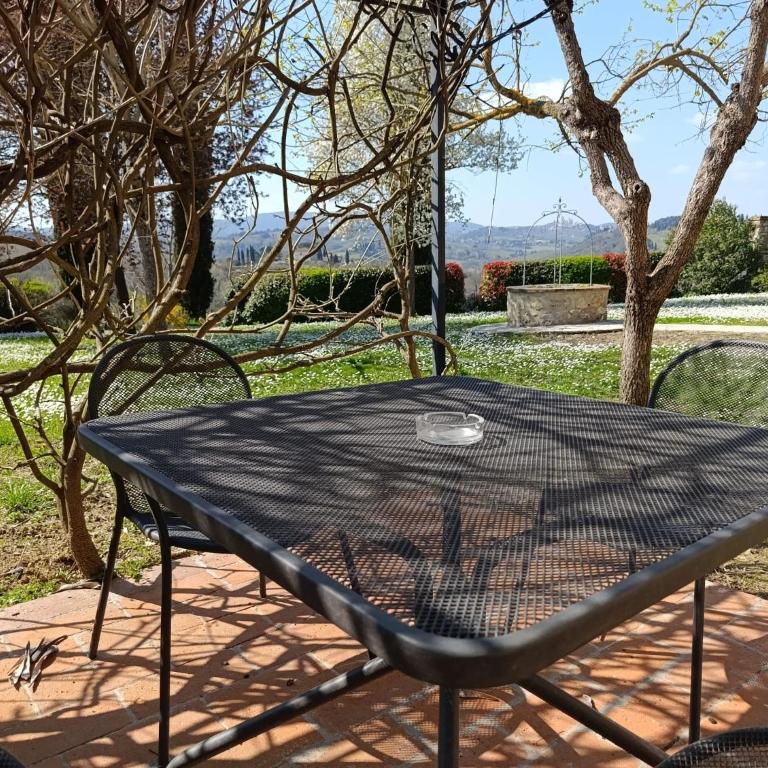 Croce di Bibbiano Apartaments with Pool in front of San Gimignano - Casa con 2 Camere da Letto - 4
