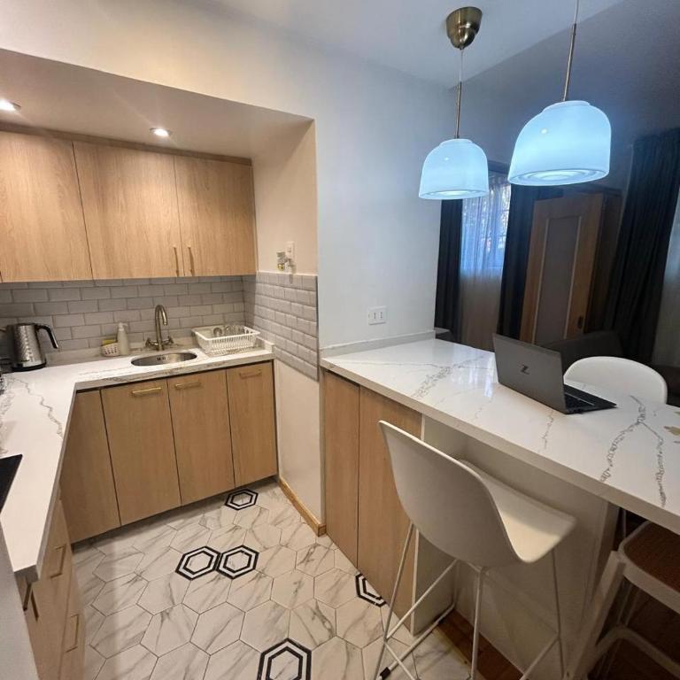 Comfortable semi-basement apartment in Providencia - One-Bedroom Apartment - 5