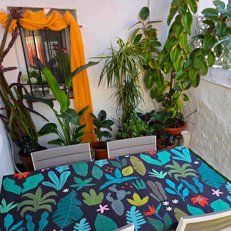 Holiday House - Casa de Monica - Four-Bedroom House - 13