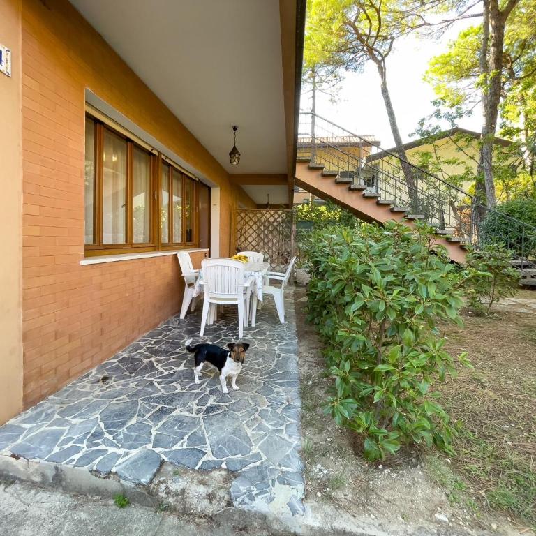 Relaxing stay with garden - Appartamento - 1