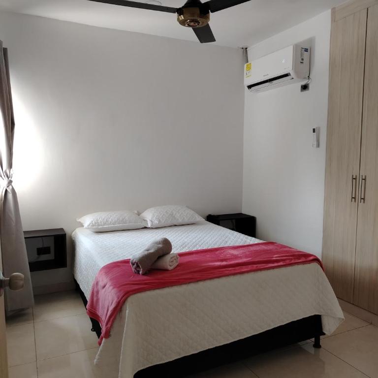 Oasis Olmos - Apartamento - 9