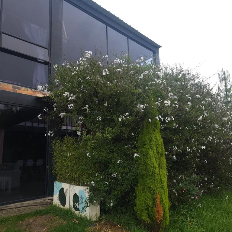 excellent place to rest surrounded by nature - Chalet de 1 dormitorio - 55