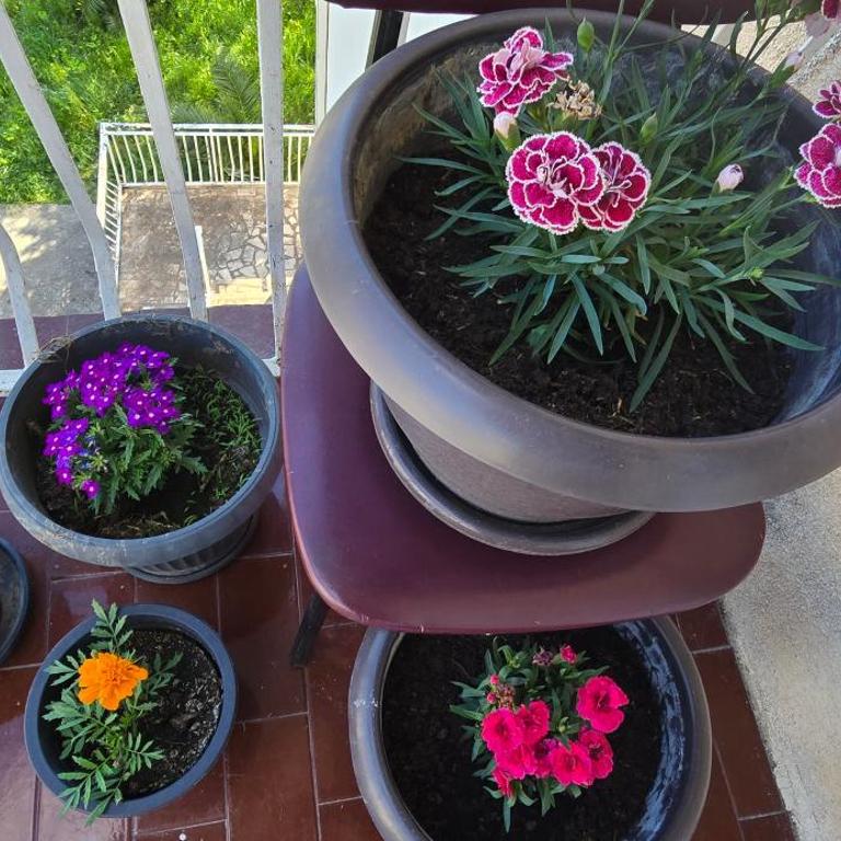 Boka Bay - Apartman sa 2 Spavaće Sobe - 3