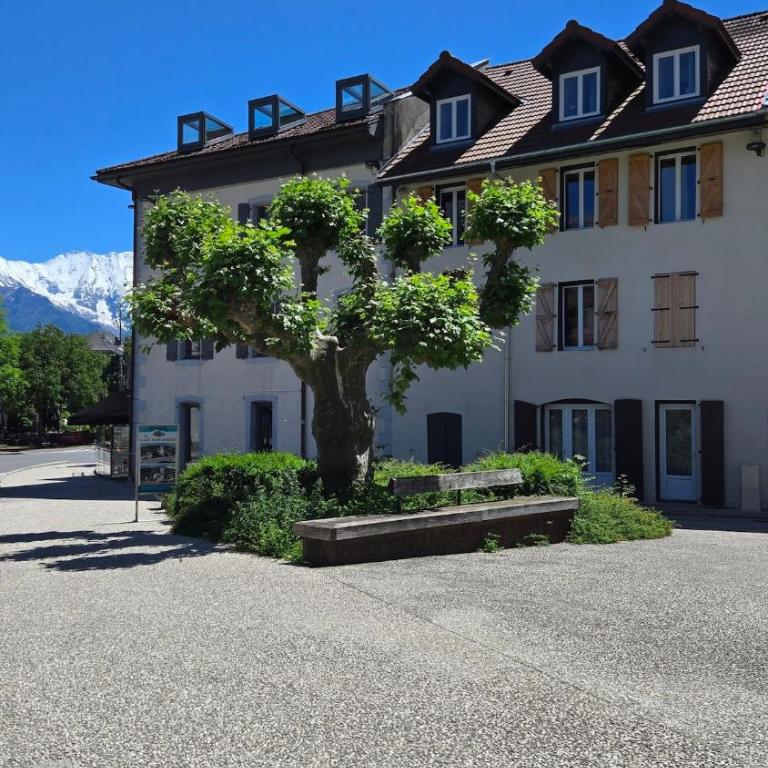 Appartement atypique au cœur de Sallanches - Appartement 2 Chambres - 7