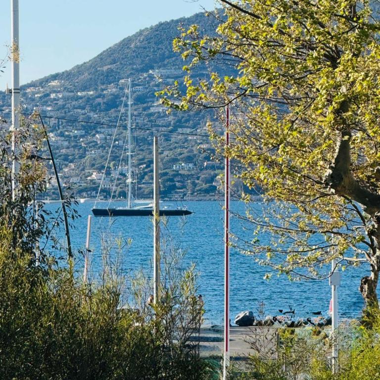 Luxueux appartement vue mer - Apartamento de 2 dormitorios con vistas al mar - 17