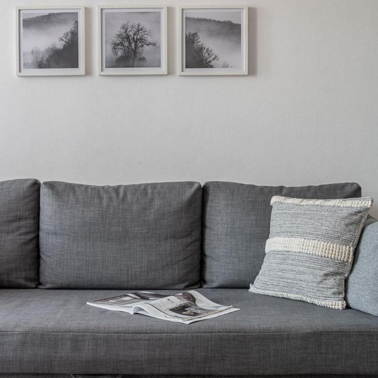 Delistor Apartment Travoz - Apartman sa 1 Spavaćom Sobom - 11