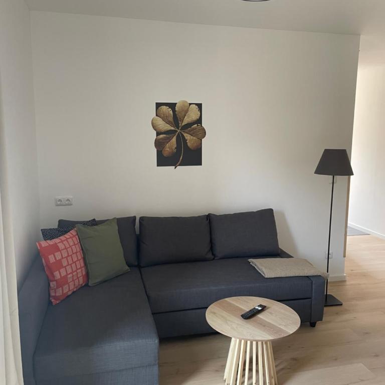 Villa Lidl Ferienwohnung - One-Bedroom Apartment - 20