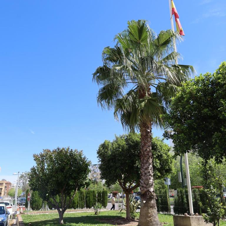 Estudio a 400 metros Ribera FREE PARKING - Estudio - 37