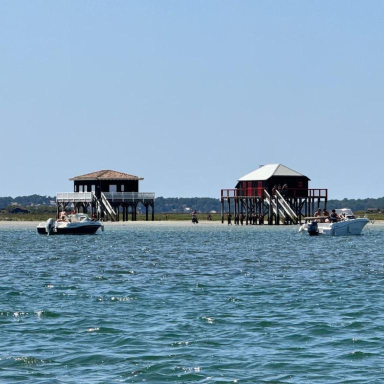 L'avant-Garde du Cap-Ferret Villa piscine Chauffée - Villa - 30