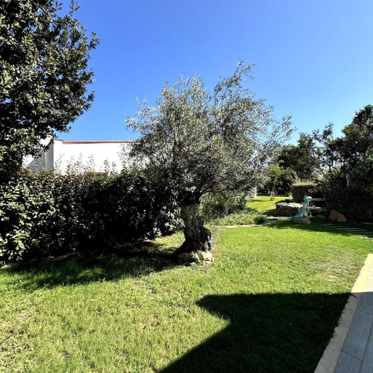 Villa Gerani - Casa con 3 Camere da Letto - 18