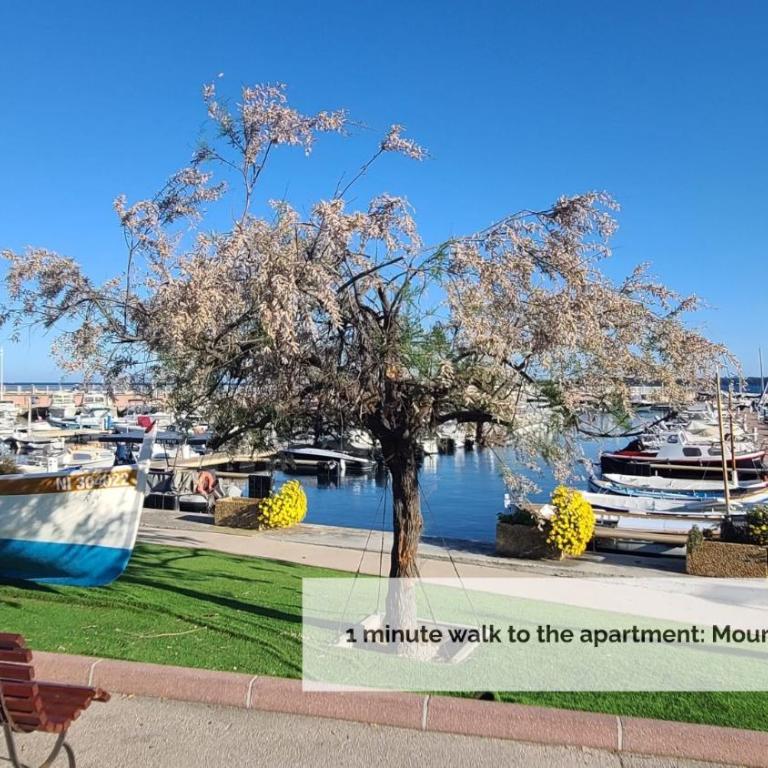 Brise marine Croisette - Appartement 1 Chambre - 17