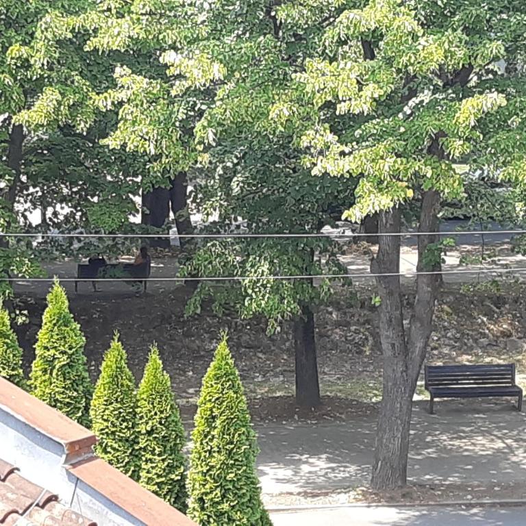 Tilia Home - Apartman sa 1 Spavaćom Sobom - 32