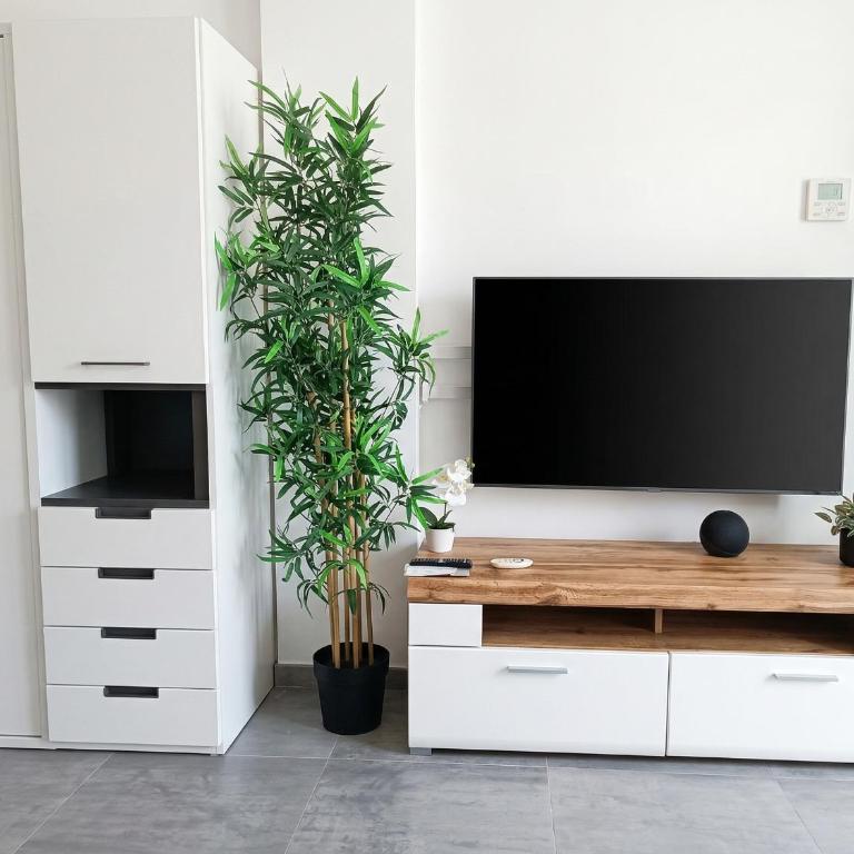 Basconia Smart Studio - Apartamento de 1 dormitorio - 13