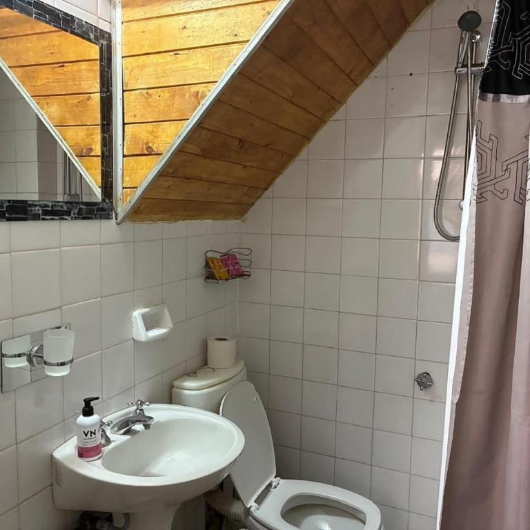 Lirios Center - One-Bedroom Apartment - 2
