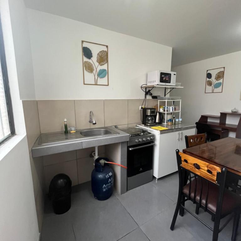 Albano apartamento 2 en tu refugio Chosica - Apartamento de 1 dormitorio - 14