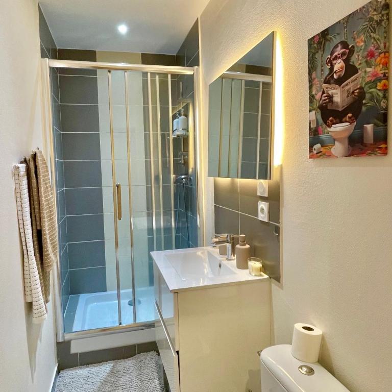 Charmant Studio, T2 ou T3 au coeur de la ville - Monolocale - 8