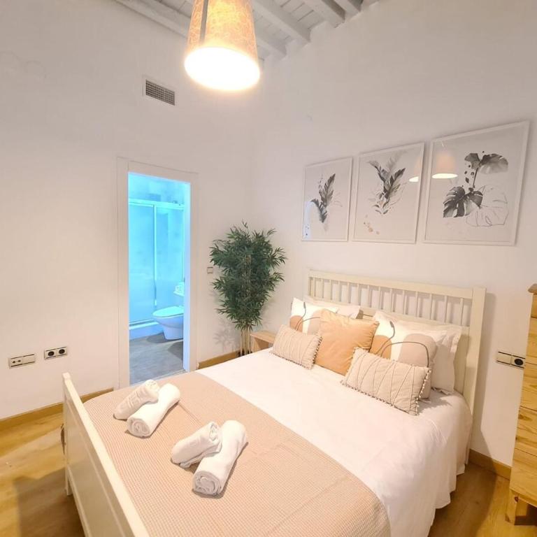 Centrico Apartamento en Malaga - Apartamento - 1
