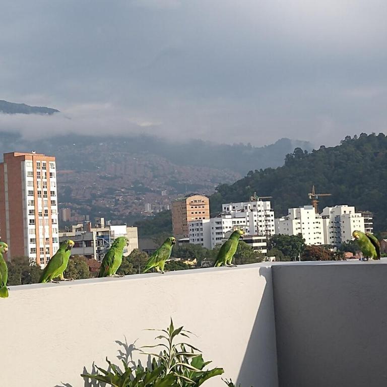 Vista al cielo y a las montañas de Medellín - Apartamento de 3 dormitorios con vistas - 4