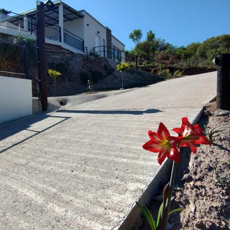 Altos del Cerro - Apartamento de 1 dormitorio - 23