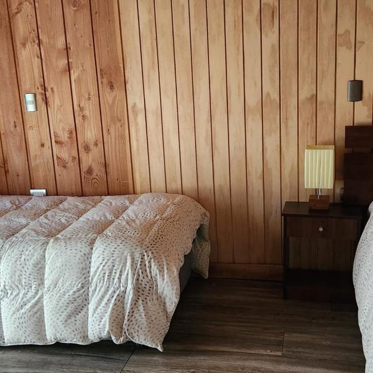 casa caburgua en cerro - Chalet de 3 dormitorios - 4
