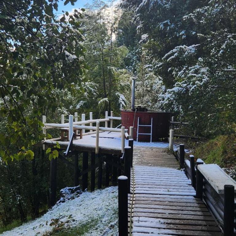 casa caburgua en cerro - Chalet de 3 dormitorios - 10