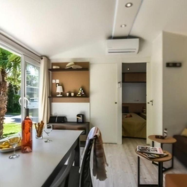 Mobil-home climatisé, animaux OK - 6 pers. - API-1-52-2205 - Mobile Home - 7