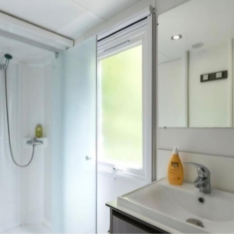 Mobil-home climatisé, animaux OK - 6 pers. - API-1-52-2205 - Mobile Home - 8
