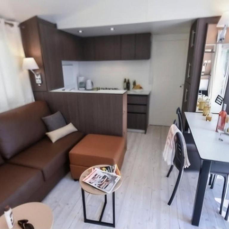 Mobil-home climatisé, animaux OK - 6 pers. - API-1-52-2205 - Mobile Home - 10