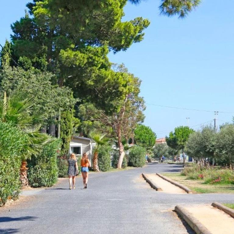 Mobil-home climatisé, animaux OK - 6 pers. - API-1-52-2205 - Mobile Home - 35