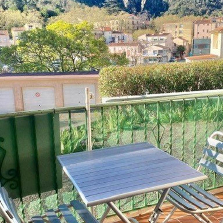 Studio ensoleillé, clim, animaux et parking - 2 pers. - FR-1-703-226 - Studio - 1