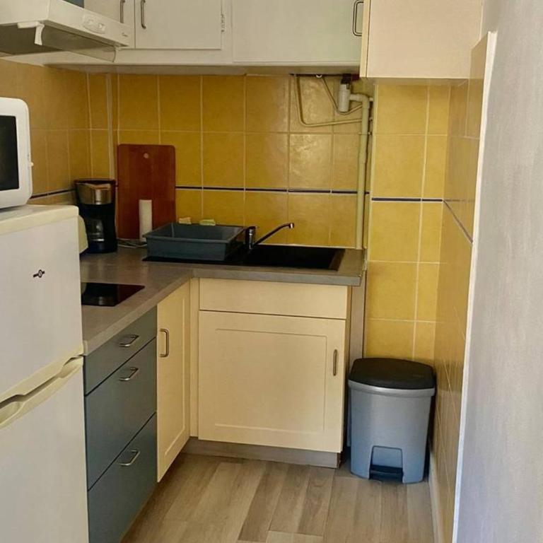 Studio ensoleillé, clim, animaux et parking - 2 pers. - FR-1-703-226 - Studio - 6