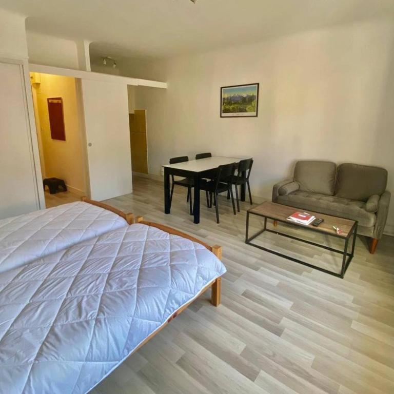 Studio ensoleillé, clim, animaux et parking - 2 pers. - FR-1-703-226 - Studio - 8