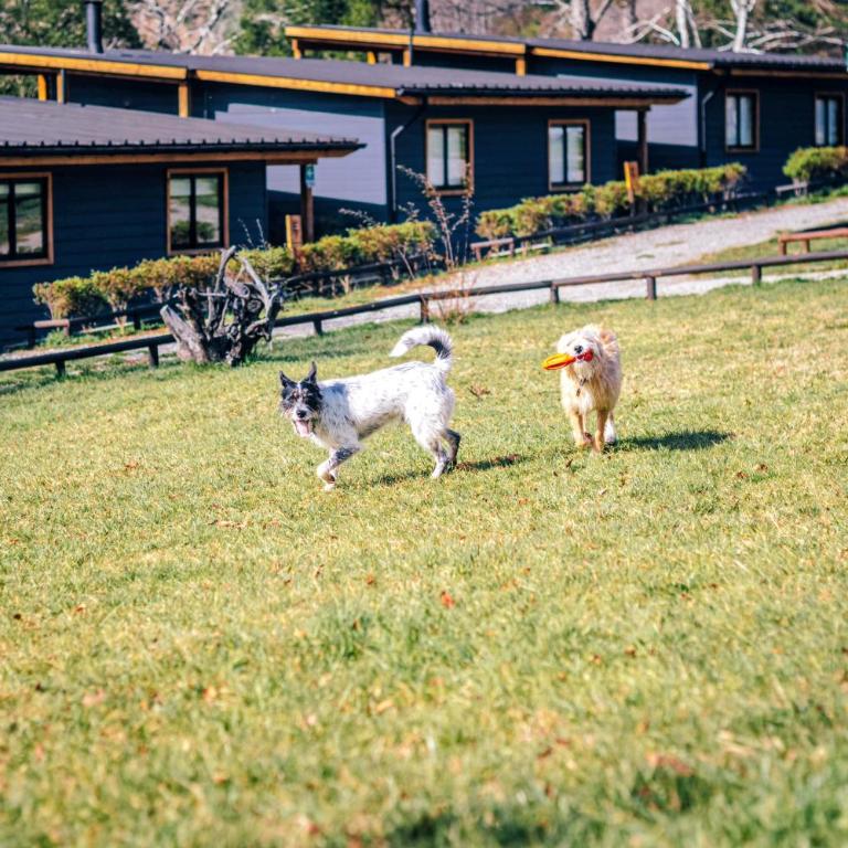 Wincarayen Lodge & Cabañas - Chalet de 2 dormitorios - 5